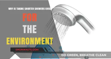 Shorter Showers, Bigger Impact: Eco-Friendly Benefits of Saving Water