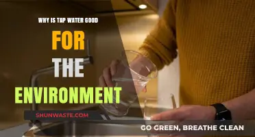 Eco-Friendly Hydration: How Tap Water Benefits Our Planet