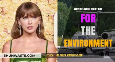 Taylor Swift's Environmental Impact: Private Jets, Tours, and Carbon Footprint