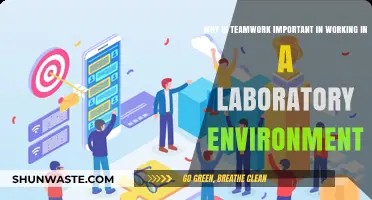 Teamwork in the Lab: Enhancing Efficiency, Safety, and Scientific Success