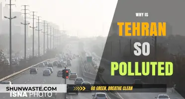 Tehran's Toxic Air: Unraveling the Causes of Severe Pollution