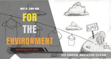 Temu's Environmental Impact: Uncovering the Hidden Costs of Fast Fashion