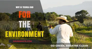 Tequila's Environmental Impact: Unsustainable Practices Threatening Our Planet's Future