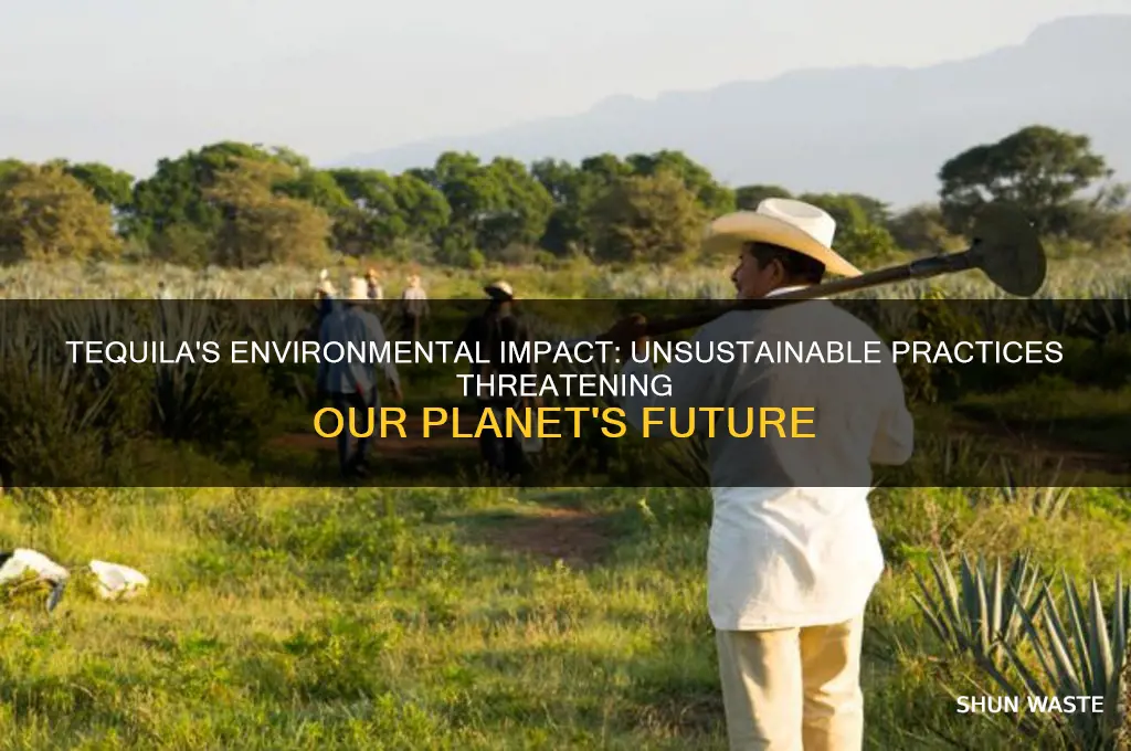 why is tequila bad for the environment