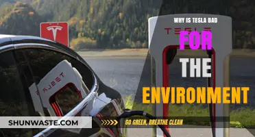 Tesla's Environmental Impact: Uncovering the Hidden Costs of Electric Vehicles