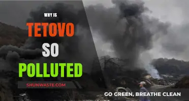 Why Tetovo's Air Quality Crisis Demands Urgent Environmental Action
