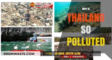 Thailand's Pollution Crisis: Causes, Impacts, and Urgent Solutions Needed