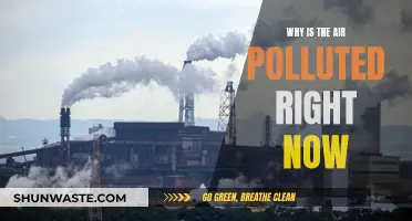 Air Pollution: Why is it so Bad Today?