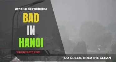Hanoi's Air Pollution: A Crisis Unfolding