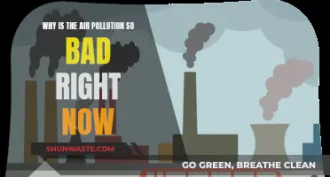 Air Pollution Alert: Why Is It So Bad?