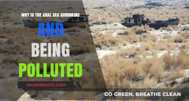 Aral Sea's Shrinking Crisis: Causes, Pollution, and Environmental Impact
