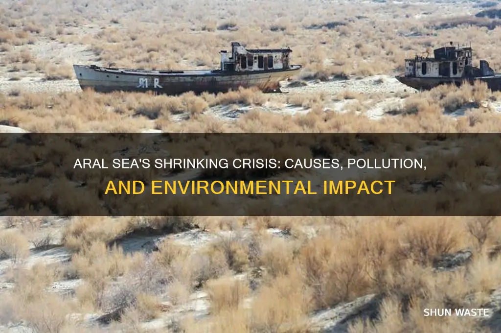 why is the aral sea shrinking and being polluted