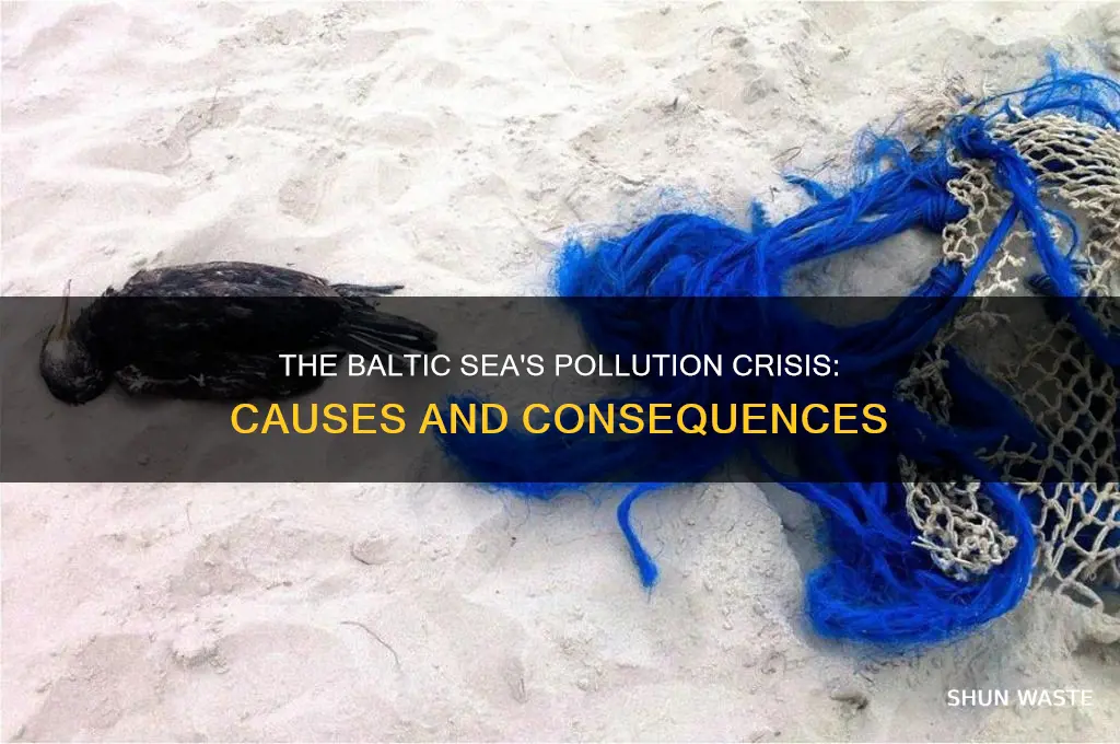 why is the baltic sea so polluted