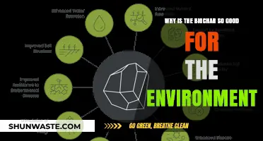 Biochar's Environmental Benefits: A Sustainable Solution for Soil and Climate