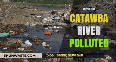 Catawba River Pollution: Causes, Impacts, and Urgent Solutions Needed
