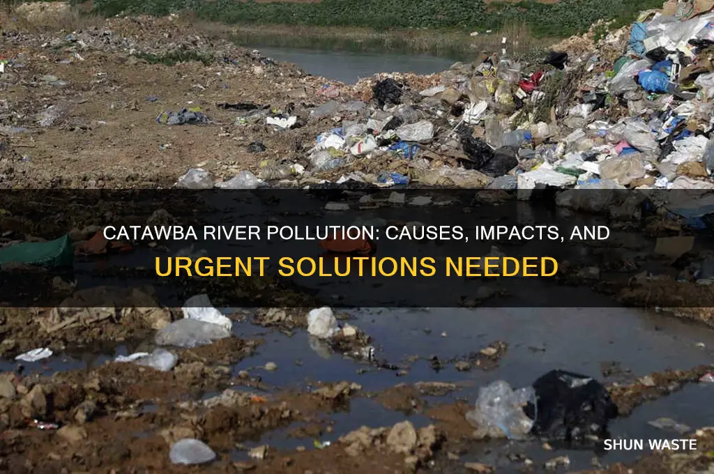 why is the catawba river polluted