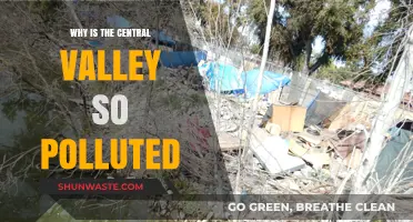 Central Valley's Pollution Crisis: Causes, Impacts, and Urgent Solutions