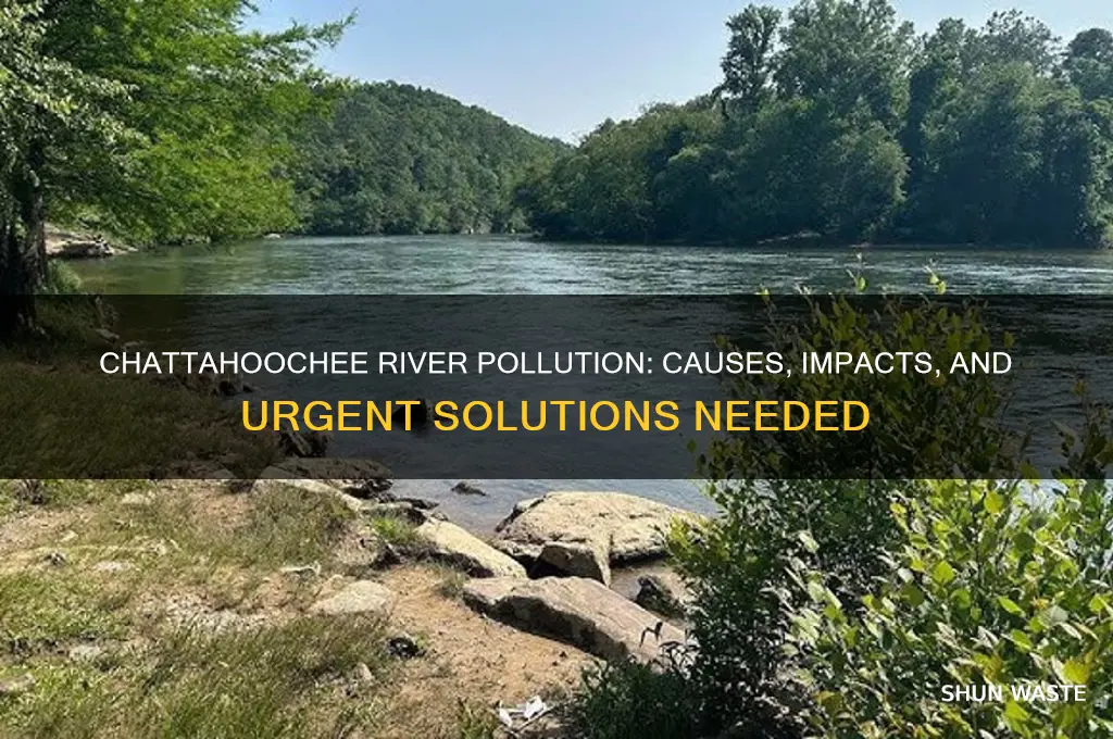 why is the chattahoochee river so polluted