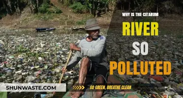 The Citarum River Crisis: Unraveling Causes of Severe Pollution