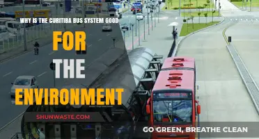 Curitiba's Eco-Friendly Bus System: A Sustainable Urban Transit Model