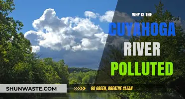 Cuyahoga River Pollution: Causes, Impacts, and Urgent Solutions Needed