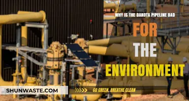 Dakota Pipeline's Environmental Impact: Threats to Water, Land, and Ecosystems