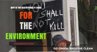 Death Penalty's Eco-Impact: Reducing Carbon Footprints Through Justice