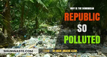Dominican Republic's Pollution Crisis: Causes, Impacts, and Urgent Solutions