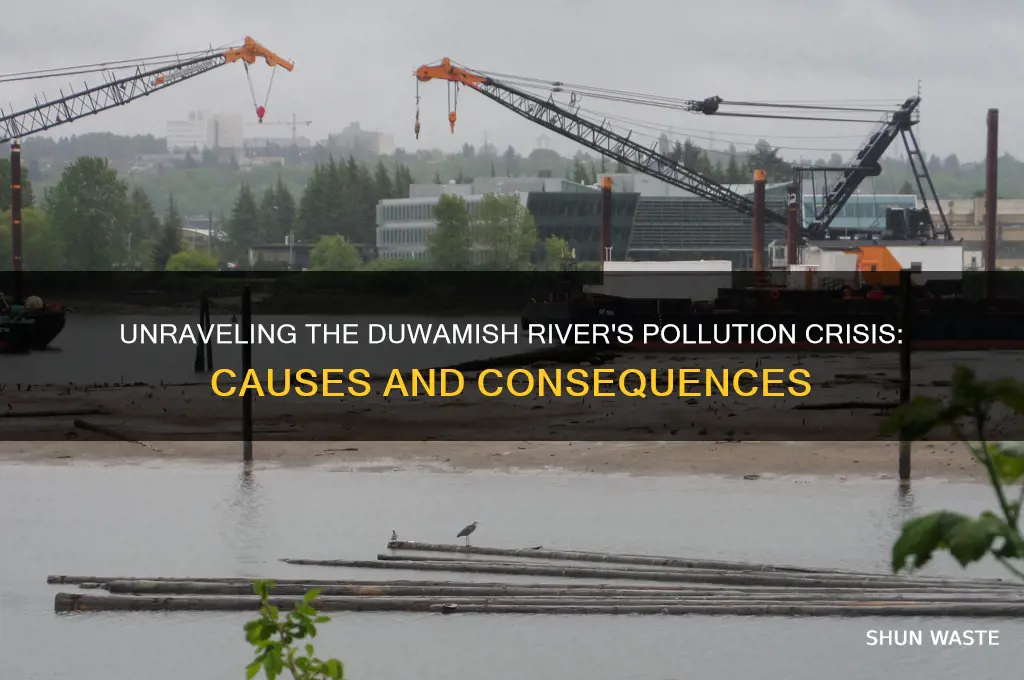 why is the duwamish river polluted