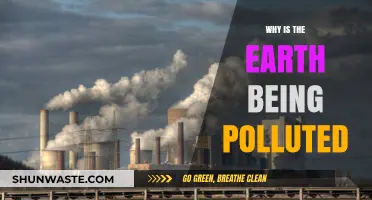 Human Activities and Their Impact: The Growing Pollution Crisis