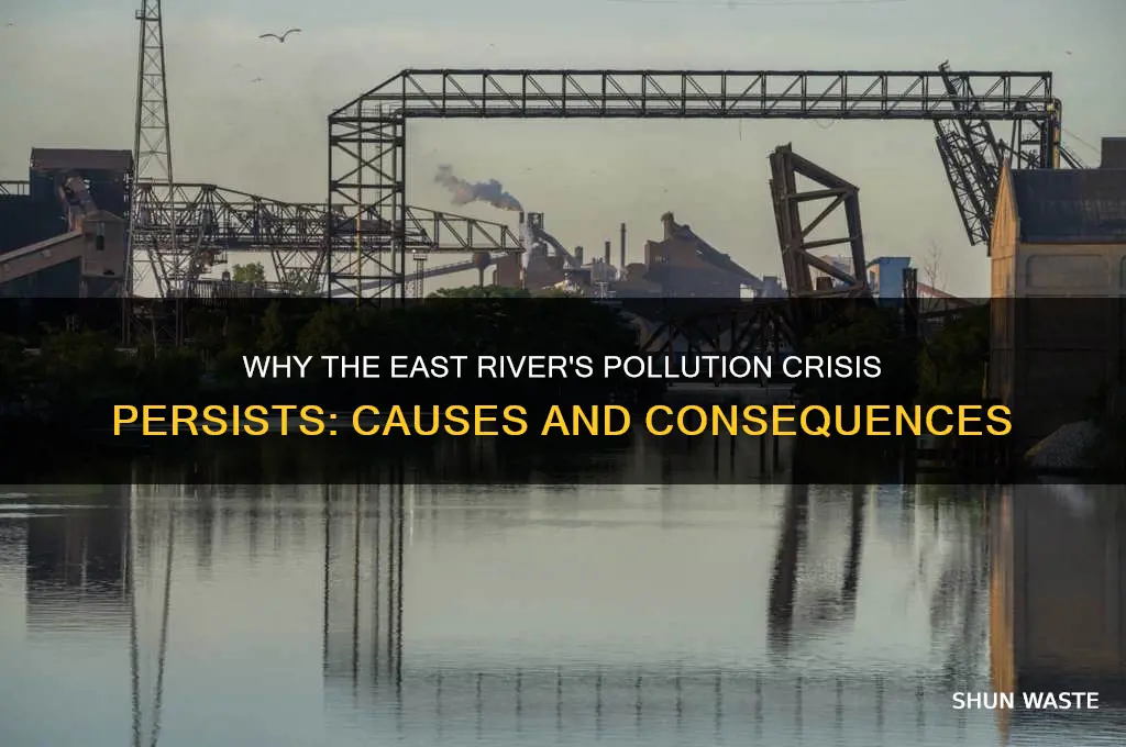 why is the east river so polluted