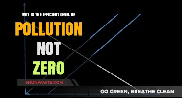 Why Zero Pollution Isn't Always the Optimal Environmental Goal