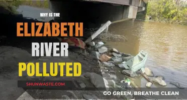 Unraveling the Causes of Elizabeth River's Persistent Pollution Crisis
