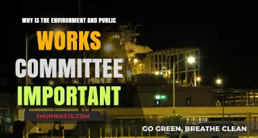 Why the Environment and Public Works Committee Shapes Our Future