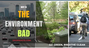 Human Impact: Unraveling the Causes of Environmental Degradation
