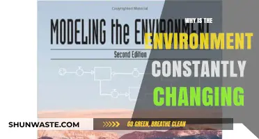 Understanding the Dynamic Forces Shaping Our Ever-Changing Environment
