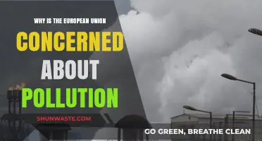 EU's Pollution Crisis: Environmental Concerns and Urgent Action Needed