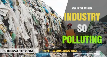 The Dark Side of Style: Fashion's Environmental Pollution Crisis