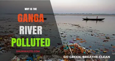 Unraveling the Crisis: Why the Ganga River is Polluted