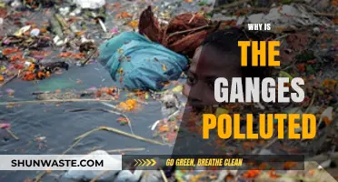 Why the Ganges River Suffers: Causes of Severe Pollution