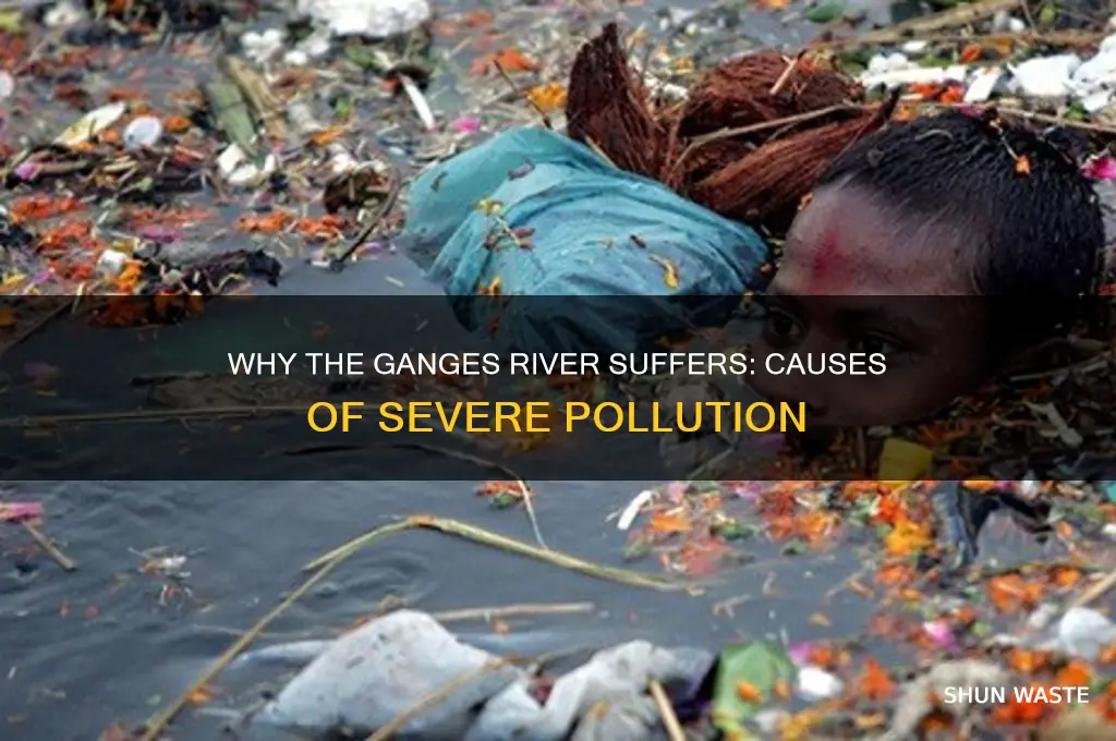 why is the ganges polluted