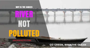 The Ganges River's Resilience: Unraveling Its Pollution-Free Mystery