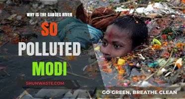 Ganges Crisis: Modi's Challenge to Tackle Severe River Pollution