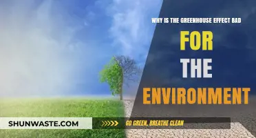 The Greenhouse Effect's Harmful Impact on Our Environment Explained