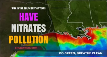Texas Gulf Coast Nitrates Crisis: Causes and Environmental Impact