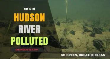 Unveiling the Hudson River's Pollution Crisis: Causes and Consequences