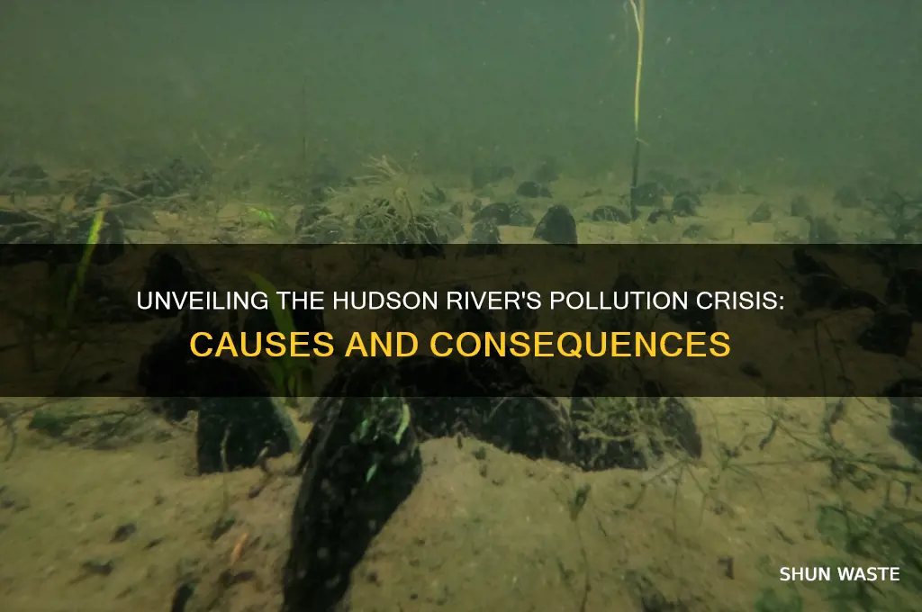 why is the hudson river polluted