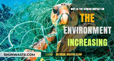 Human Impact on Environment: Rising Trends and Urgent Concerns