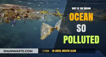 Indian Ocean Crisis: Uncovering the Causes of Severe Pollution