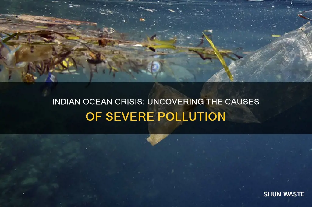 why is the indian ocean so polluted